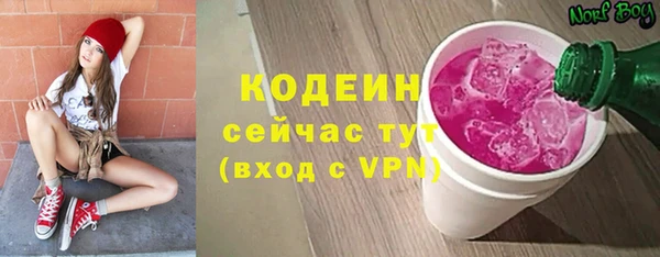 индика Абинск