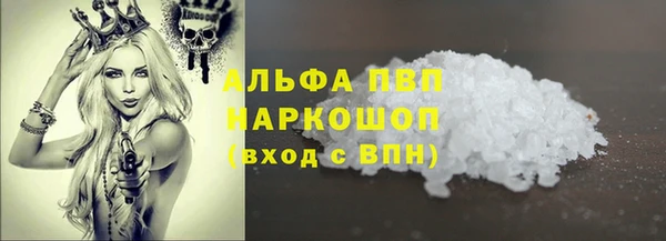 индика Абинск