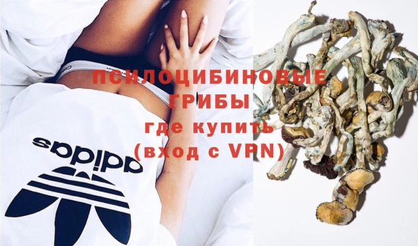 индика Абинск