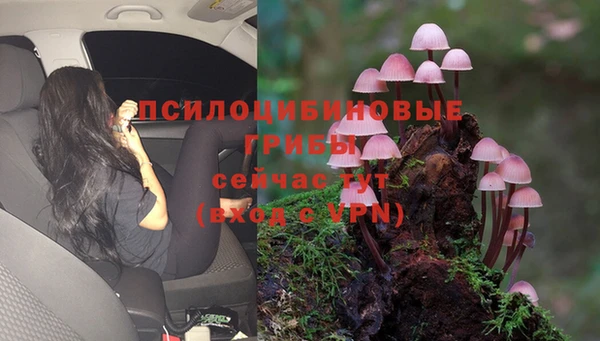 индика Абинск