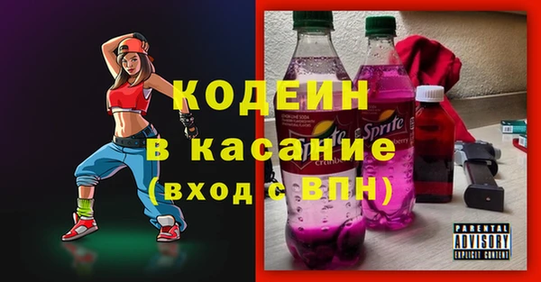 индика Абинск