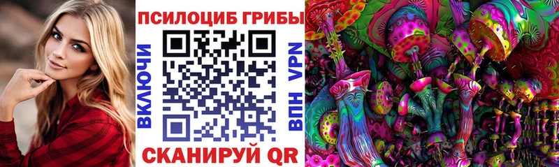 Псилоцибиновые грибы мицелий  Кирсанов 